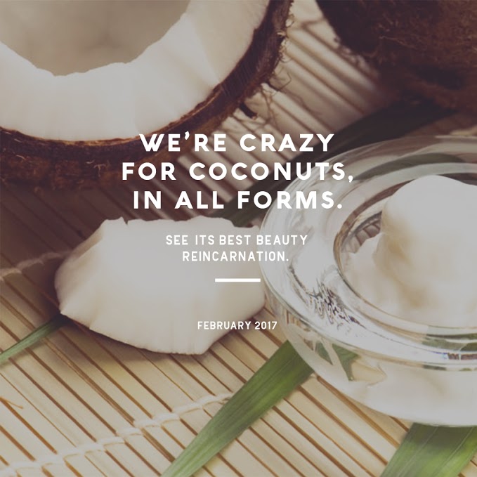 Coconuts's Best Beauty Reincarnation